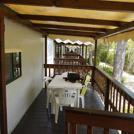 Chalet 4 Or 6 Persons Toscana Viareggio Camping Bosco Verde Italie Torre del Lago Puccini Exterior foto