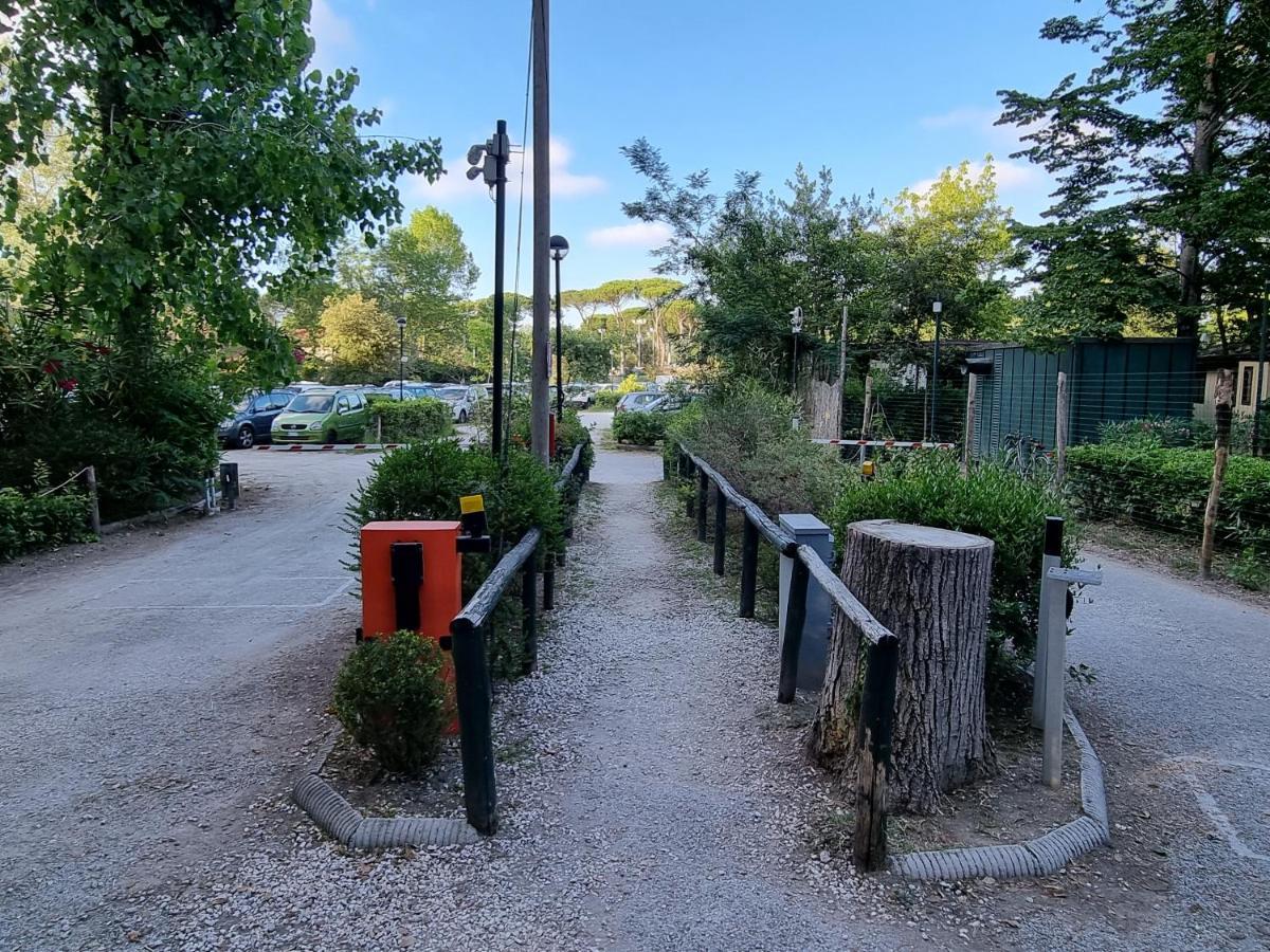 Chalet 4 Or 6 Persons Toscana Viareggio Camping Bosco Verde Italie Torre del Lago Puccini Exterior foto