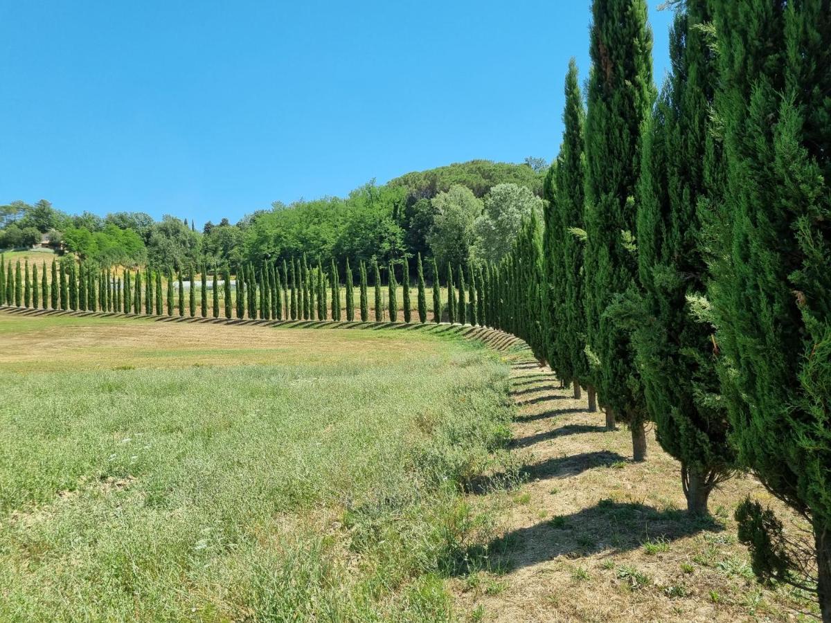 Chalet 4 Or 6 Persons Toscana Viareggio Camping Bosco Verde Italie Torre del Lago Puccini Exterior foto